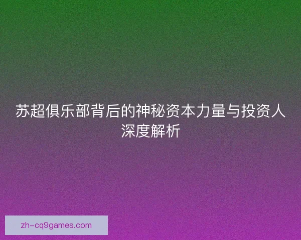 苏超俱乐部背后的神秘资本力量与投资人深度解析