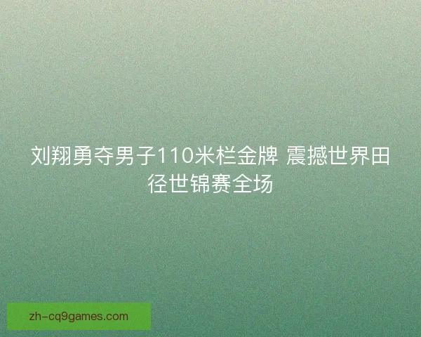 刘翔勇夺男子110米栏金牌 震撼世界田径世锦赛全场 刘翔勇夺男子110米栏金牌 震撼世界田径世锦赛全场